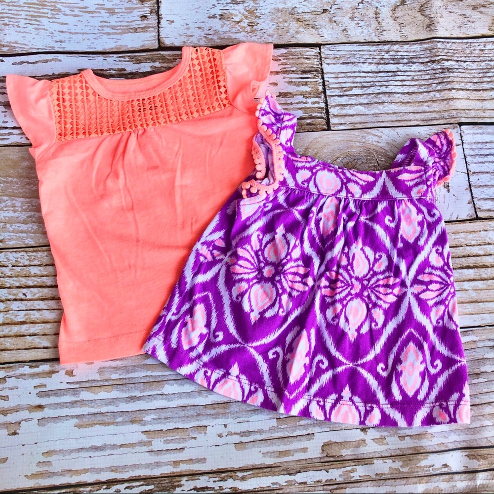 Carter’s Baby Girl Top Set - 9M